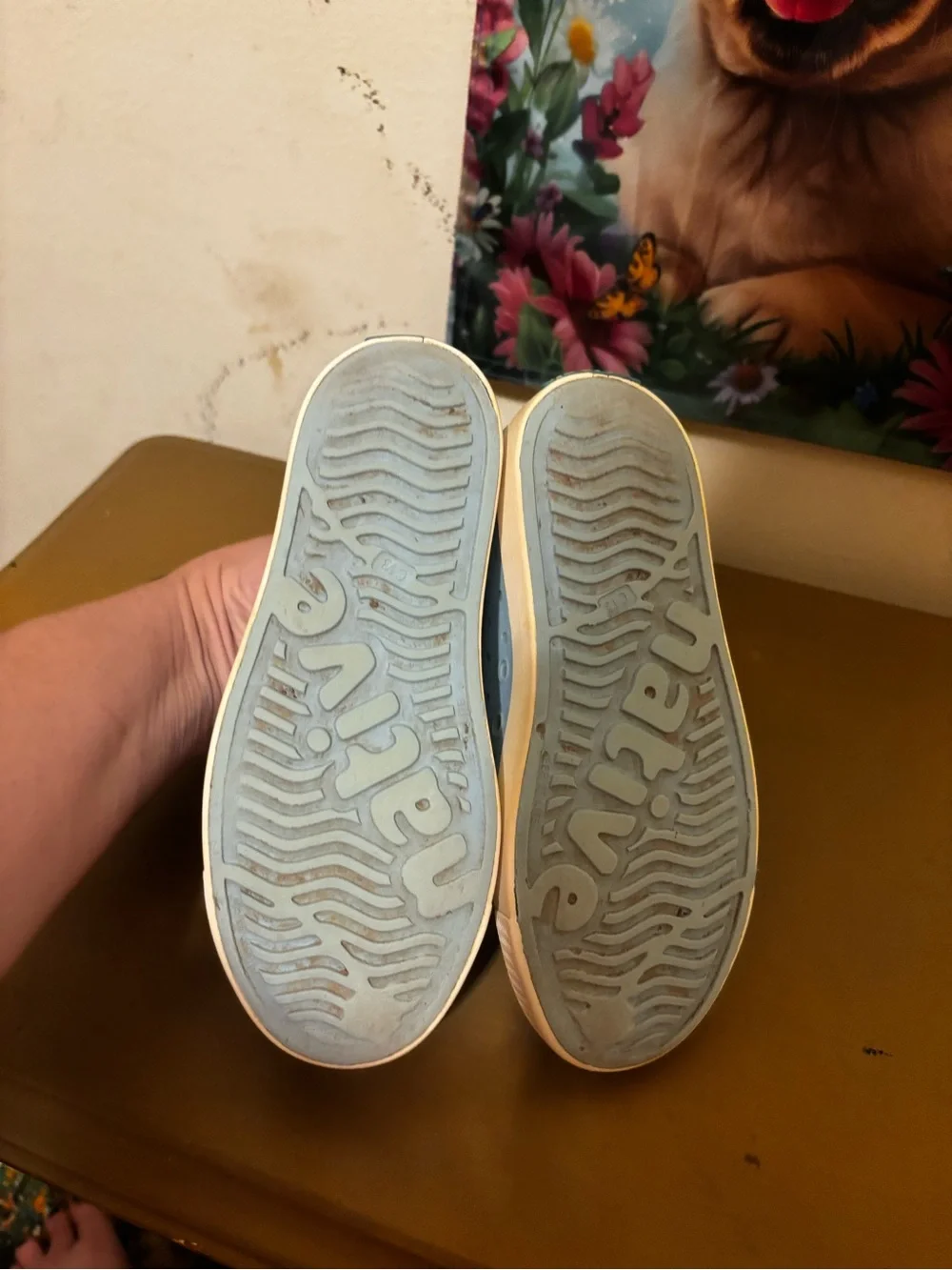 Native boys Slip-On Sneakers in Light Blue with White Soles. C13